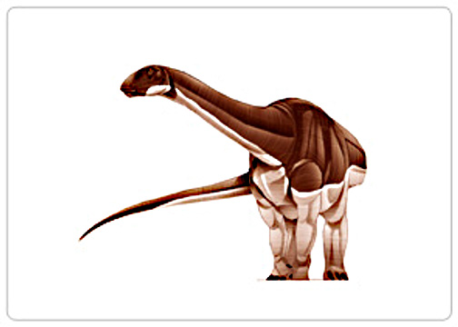 Algoasaurus