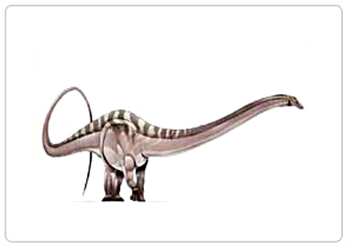 Dyslocosaurus