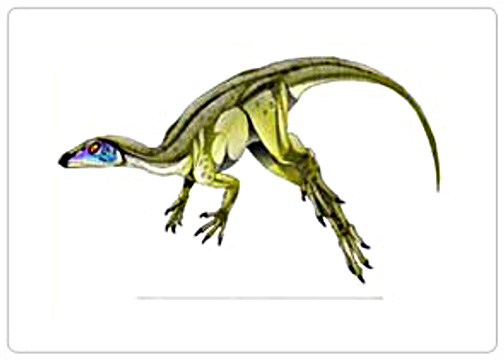 Leaellynasaura