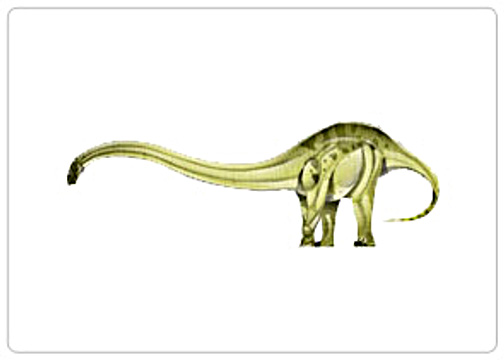 Omeisaurus