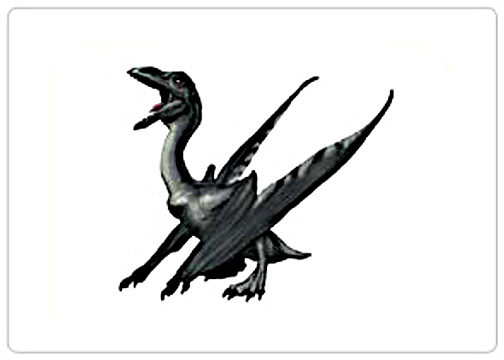 Pterodactylus