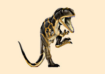 Abelisaurus