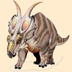 Achelousaurus