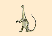 Alamosaurus