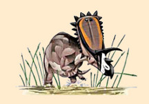 Anchiceratops