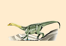 Anchisaurus
