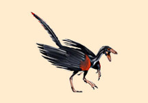 Archaeopteryx