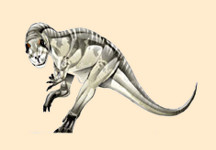 Aublysodon