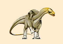Barapasaurus