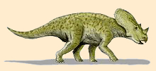 Avaceratops