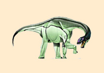 Camarasaurus