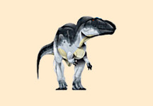 Carcharodontosaurus