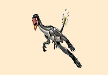 Caudipteryx