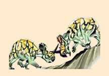 Centrosaurus