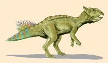 Aquilops