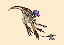 Chirostenotes