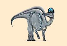 Amurosaurus