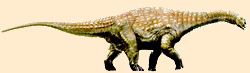 Diamantinasaurus