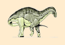 Dicraeosaurus