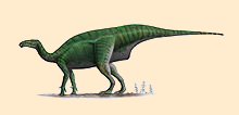 Dollodon