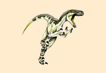 Dakotaraptor