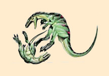 Dryptosaurus
