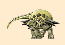 Edmontonia