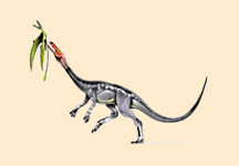 Elaphrosaurus