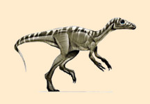 Eoraptor