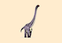 Euhelopus