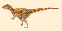 Fukuiraptor