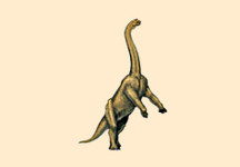 Giraffatitan