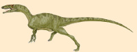 Gojirasaurus