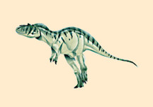 Gorgosaurus