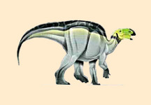 Gobihadros