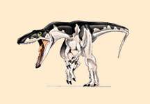Herrerasaurus