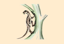 Abrictosaurus
