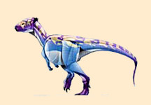 Goyocephale