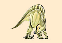 Hypacrosaurus