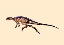 Hypsilophodon