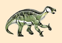 Altirhinus