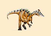 Irritator