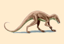 Lagosuchus