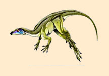 Galleonosaurus