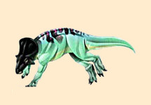 Leptoceratops