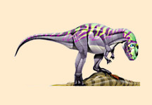Majungasaurus