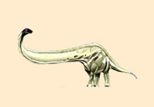 Mamenchisaurus