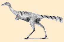 Alvarezsaurus