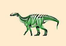 Muttaburrasaurus