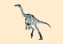 Ornithomimus